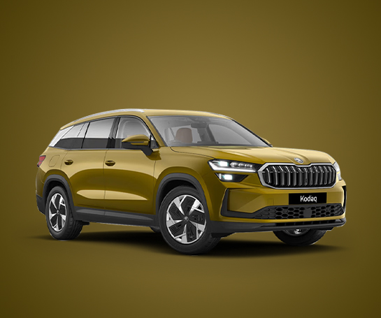 KODIAQ
STARTS AT ₹ 39.99 LAKH
View Details